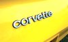 1980-1982 C3 Corvette Rear Bumper Letters