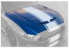 2015-2017 Ford Mustang Shelby 50th Anniversary Super Snake Hood