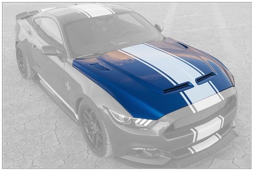 2015-2017 50th Anniversary Shelby Super Snake Hood