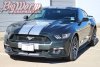 2015-2017 Mustang Pinstripe Dual Full Length Stripes Kit