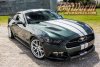2015-2017 Mustang 6G Full Length Stripes Kit