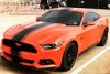 2015-2017 Mustang Skinny Snake Stripe Kit