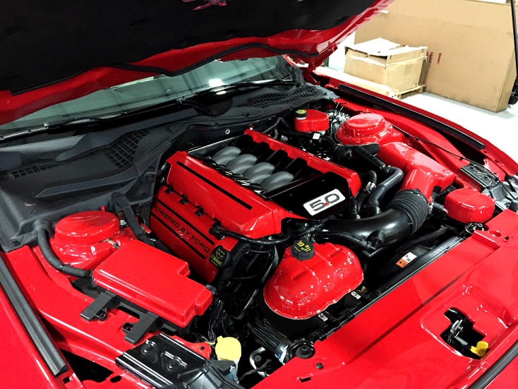 2015-2017 Ford Mustang Painted Complete Engine Package.