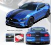 2018-2019 Mustang GT/Ecoboost Hyper Rally Stripe Kit