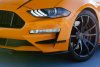 2018-2019 Mustang OUTLAW Front Bumper Winglets