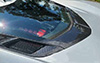 2020-2022 C8 Corvette AGM Carbon Fiber Lower Window Trim