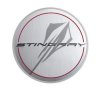 2020-2023 C8 Corvette GM Next Gen Stingray Wheel Center Cap Silver