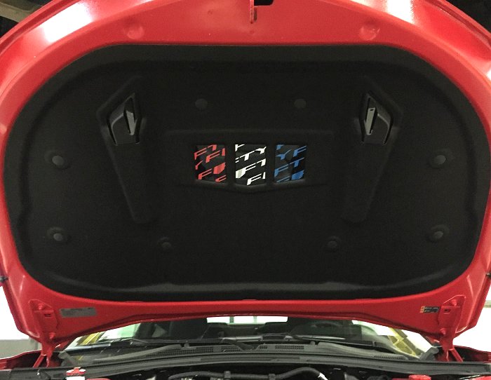 Camaro Custom Painted Hood Liner Camaro Custom Painted Hood Liner