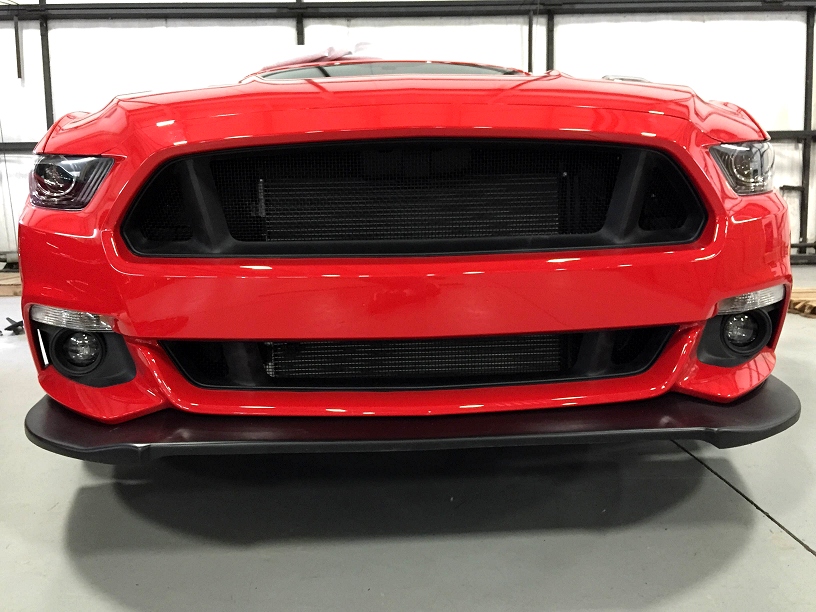 RPI Ford Mustang GT Stainless Steel Mesh Grilles