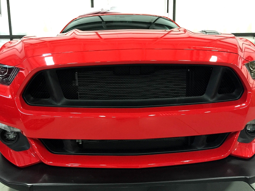 RPI Ford Mustang GT Stainless Steel Mesh Grilles