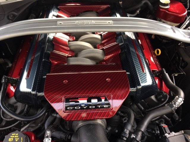 2015-2017 Ford Mustang Painted Engine Cover