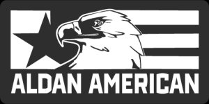Aldan American Corvette Coil-Overs