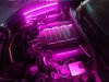 2014-2019 C7 Corvette Complete RGB Engine Bay Lighting Kit (Color Changing)