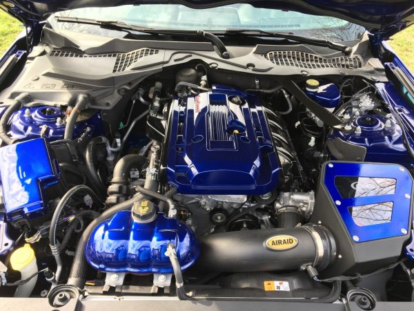 Painted Mustang Ecoboost engine cover.