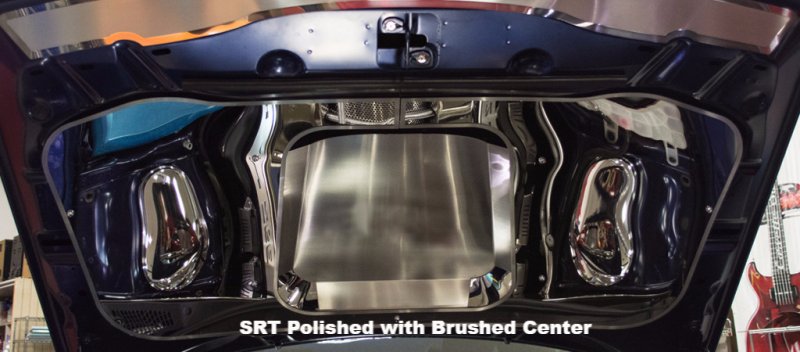 2015-2018 Dodge Challenger SRT Stainless Hood Panel