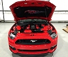 2015-2017 Ford Mustang Painted Complete Engine Package