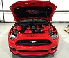 2015-2017 Ford Mustang Painted Complete Engine Package