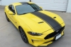2018-2024 Mustang Super Snake Style Full Length Stripe Kit