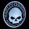 ORACLE Door LED Projectors - Harley Davidson Skull